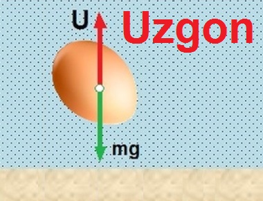 Uzgon